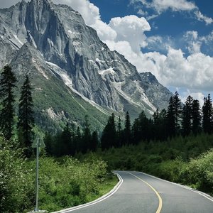 大鸡鸡使劲插骚穴
